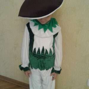 Гриб Боровик