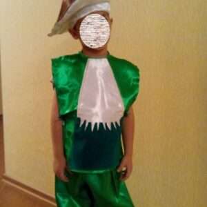 Гриб Боровик