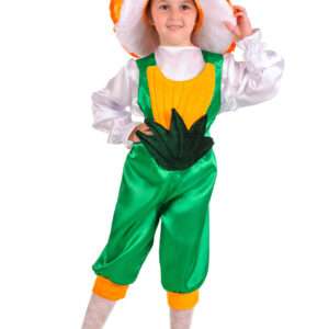 Гриб Лисичка, Рижик