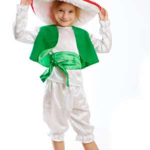 Гриб Мухомор