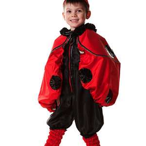 Жучок сонечко