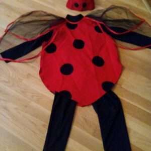 Жучок сонечко