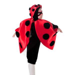 Жучок сонечко