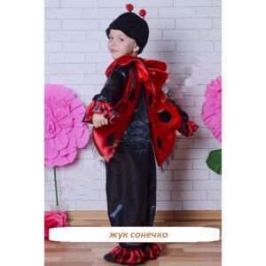 Жучок сонечко